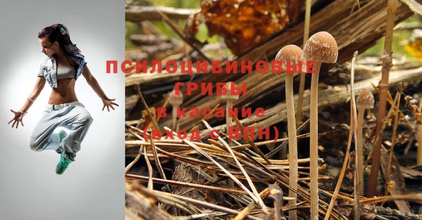 амфетамин Гусев