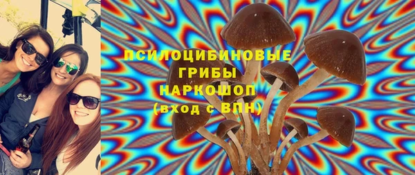 jwh Осинники