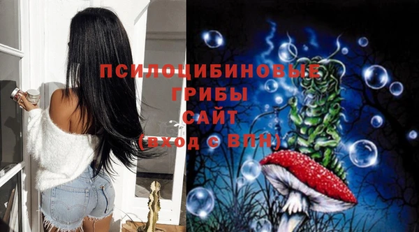 амфетамин Гусев