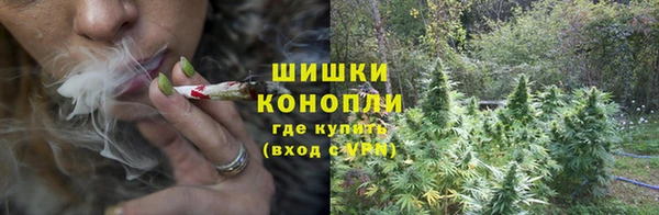 дурь Дмитриев