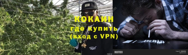 apvp Тында