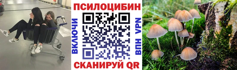 цены   ссылка на мегу онион  Галлюциногенные грибы Psilocybe  Боготол 